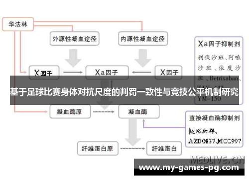 基于足球比赛身体对抗尺度的判罚一致性与竞技公平机制研究